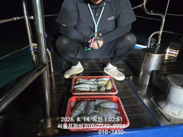 29549.jpg