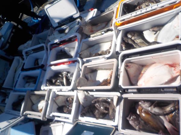 DSCN6519.JPG