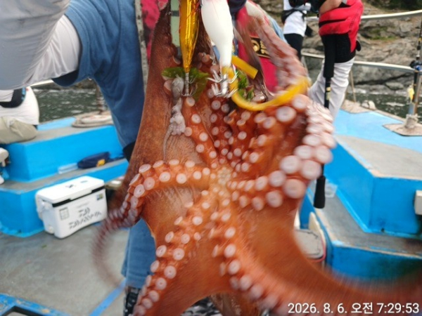 KakaoTalk_20260806_080413344.jpg