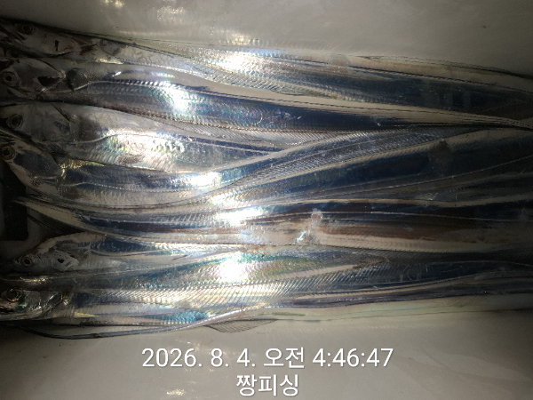 1000081355.jpg