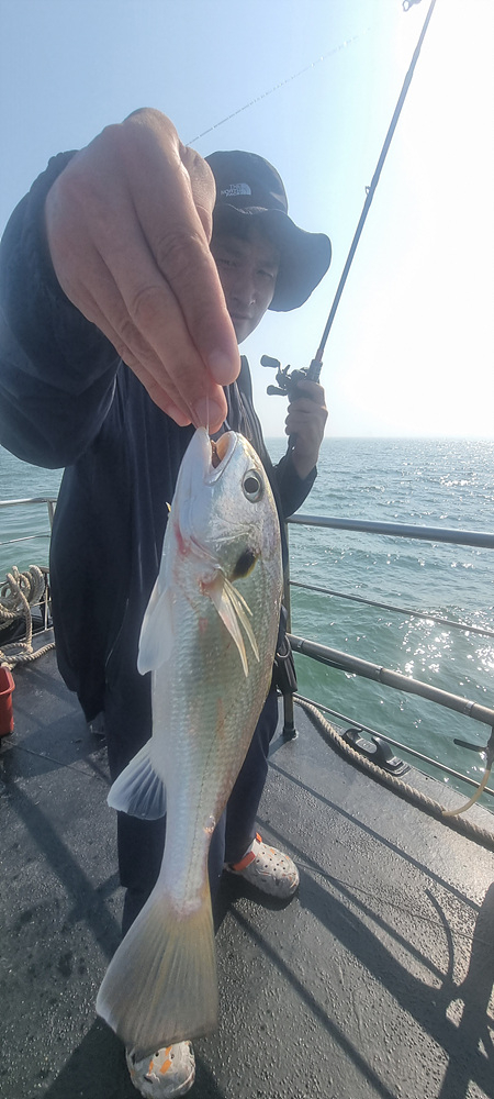 KakaoTalk_20260801_163730944.jpg