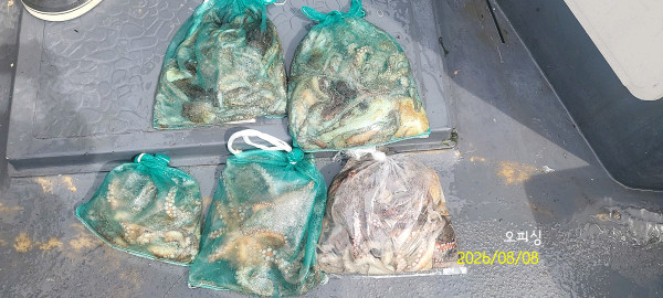 DateCamera0808092437.jpg
