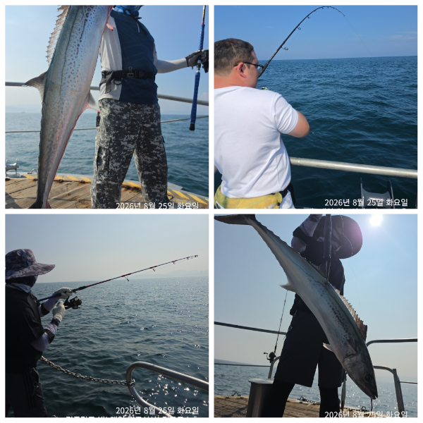 PhotoCollage_1787749188206.jpg
