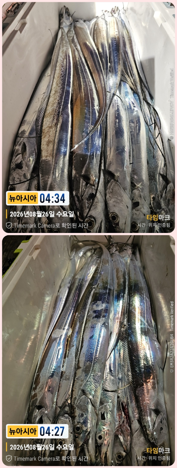 KakaoTalk_20260826_063013638-down.jpg