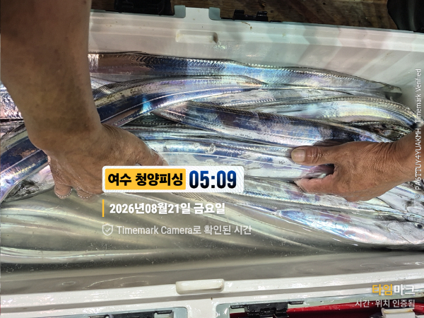 2026-08-21 05.09.35__(제목-여수 청양피싱).jpg