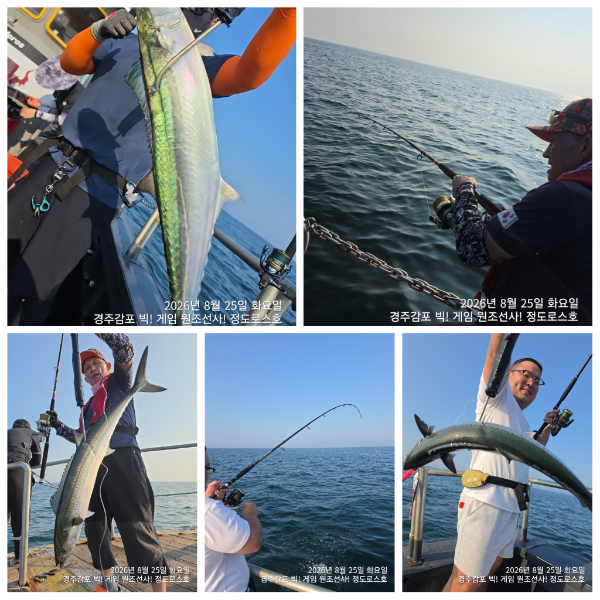 PhotoCollage_1787749231723.jpg