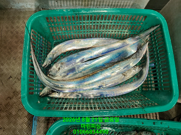 KakaoTalk_20260822_081749690_18.jpg