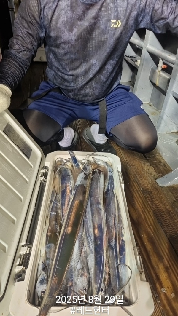 25595.jpg