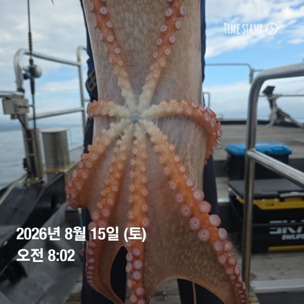 공현진낚시마트(돌핀호)_사진_20260815_3.jpg
