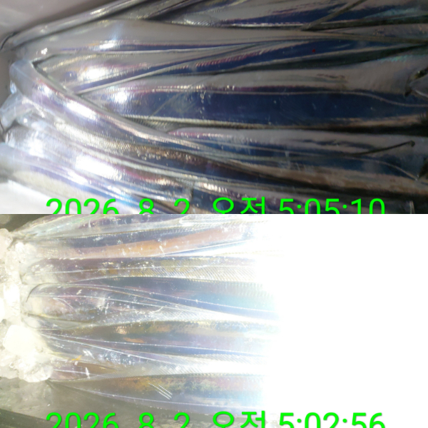 1000084185.jpg