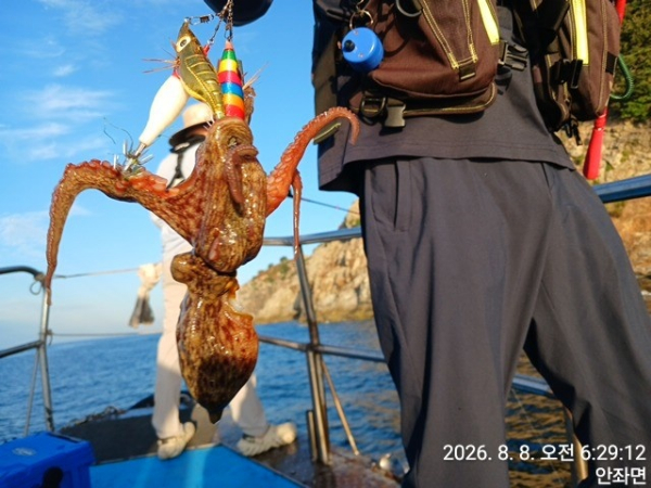 KakaoTalk_20260808_081955813_09.jpg