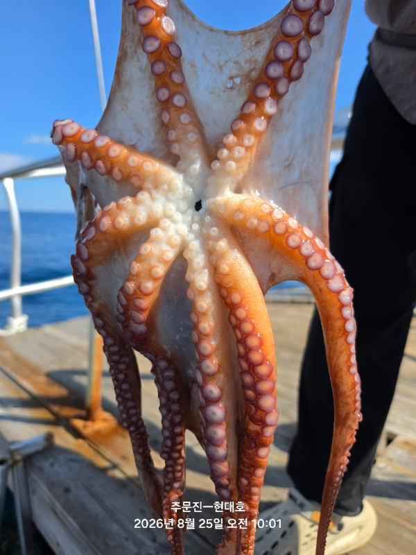5506AB8E-E079-4E4F-A43B-F73AD69D1114.jpeg