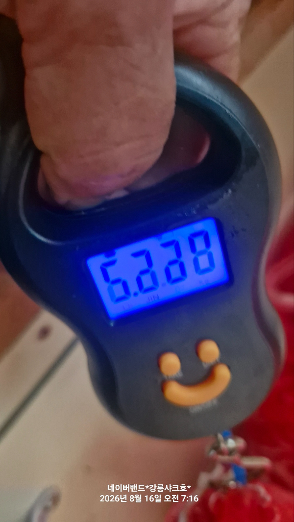 1786861444156.jpg