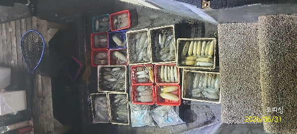 DateCamera0831001914.jpg
