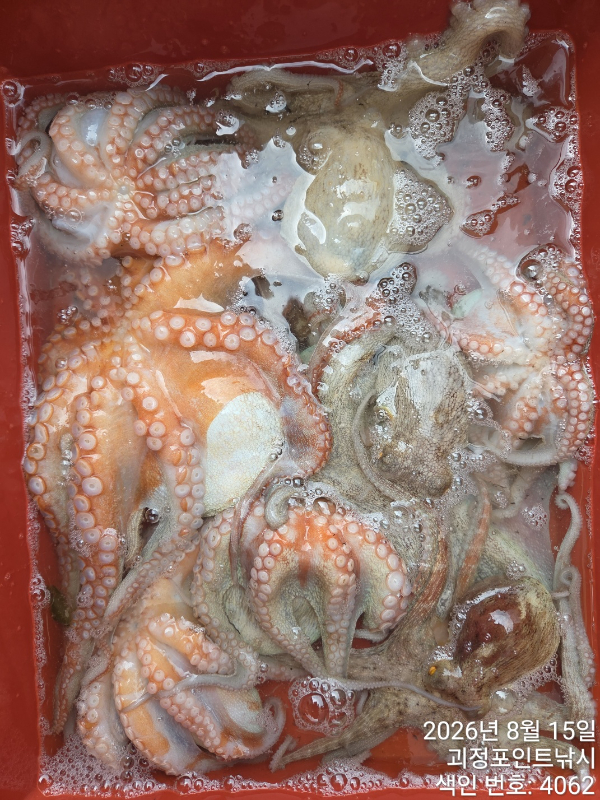KakaoTalk_20260820_163129866_07.jpg