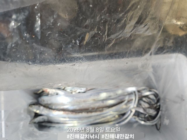 KakaoTalk_20260808_111457391_04 복사.jpg