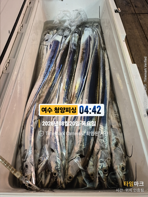 2026-08-20 04.42.57__(제목-여수 청양피싱).jpg