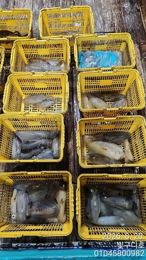 7295.jpg