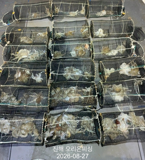 KakaoTalk_20260827_032641927_14.jpg