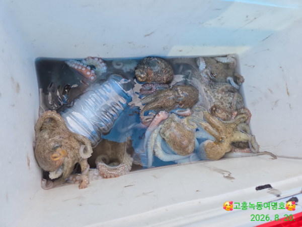 쎄븐피싱클럽(선상 버스출조전문)_사진_20260821_6.jpg