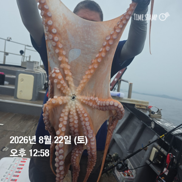 공현진낚시마트(돌핀호)_사진_20260822_9.jpg