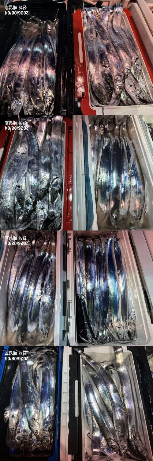 갈치3.jpg