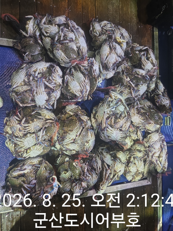 1000019183.jpg