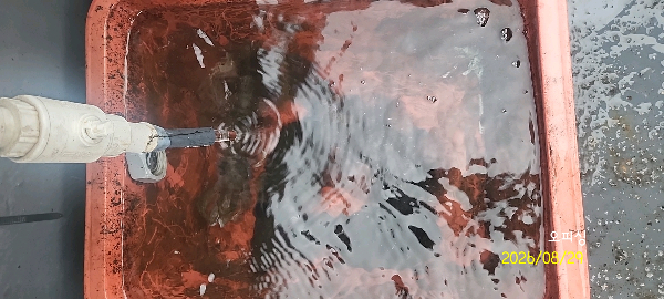 DateCamera0829084912.jpg