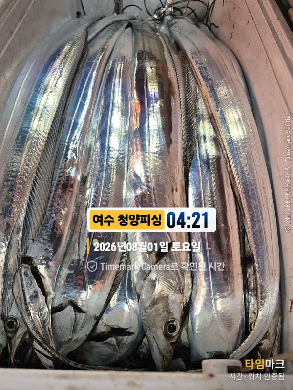 2026-08-01 04.21.40__(제목-여수 청양피싱).jpg