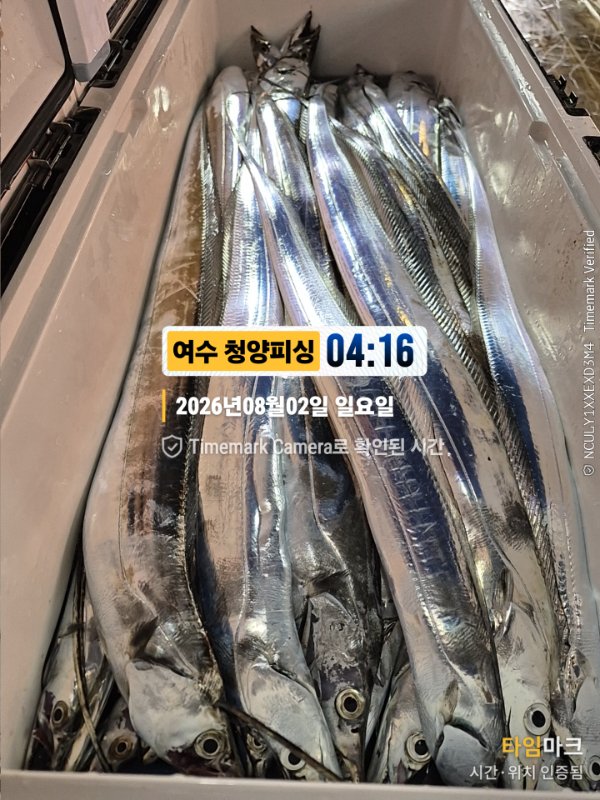 2026-08-02 04.16.48__(제목-여수 청양피싱).jpg