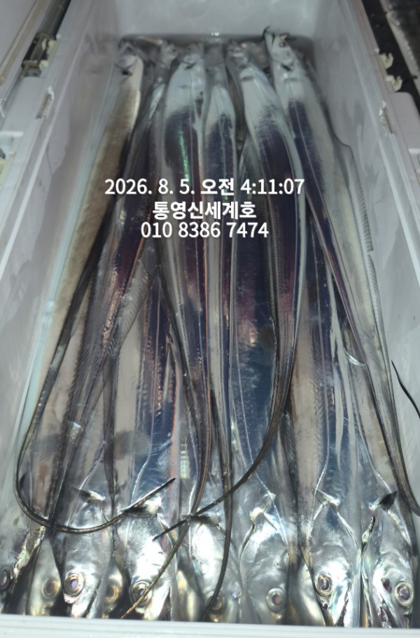 1785878541822.jpg