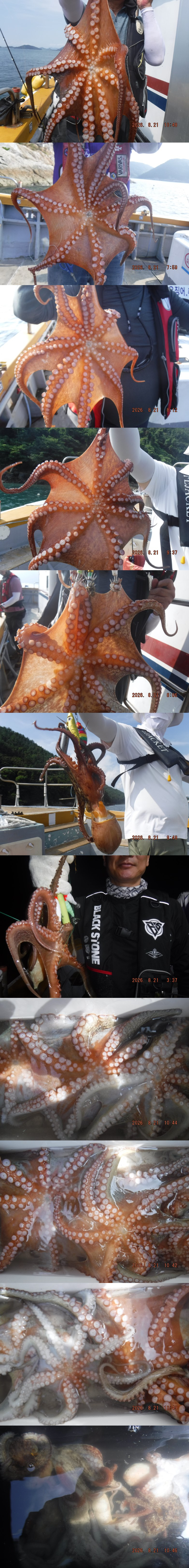 출조1728.jpg