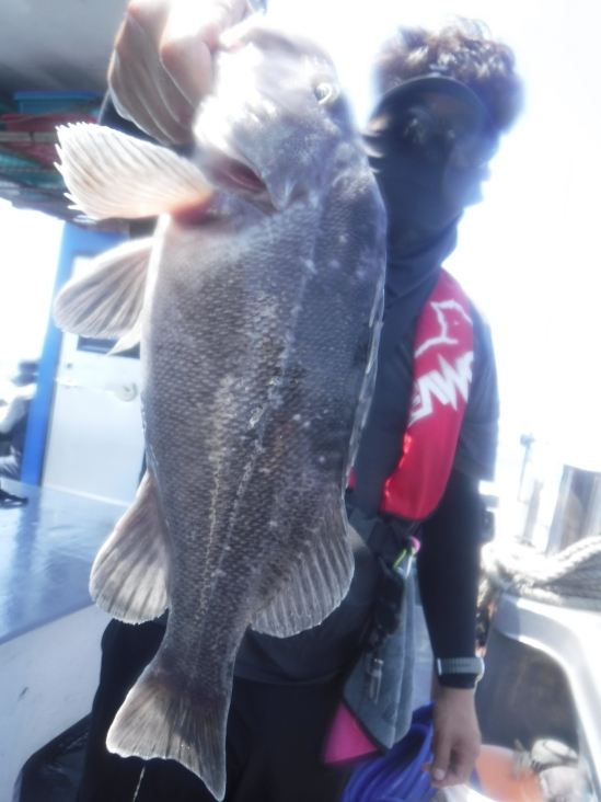 65.jpg