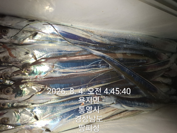 1000081359.jpg