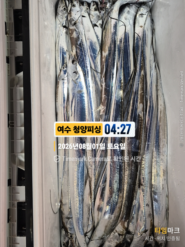 2026-08-01 04.27.45__(제목-여수 청양피싱).jpg
