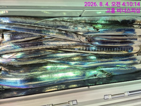 1000054617.jpg