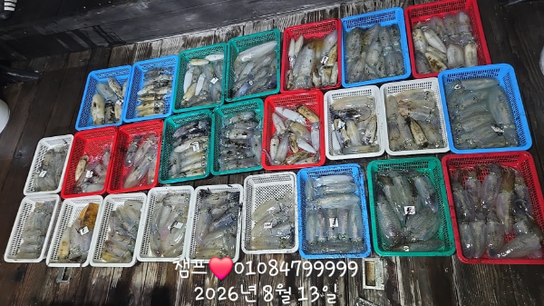 1000062075.jpg
