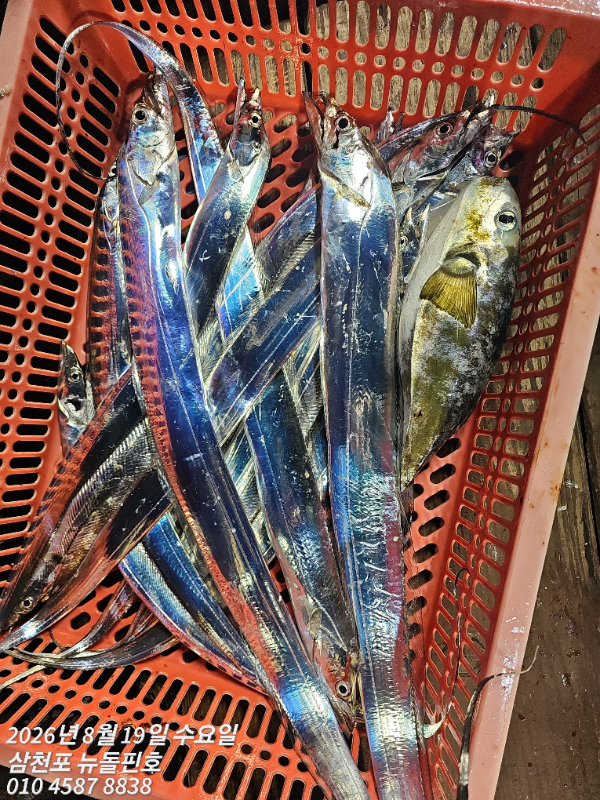 1000008624.jpg