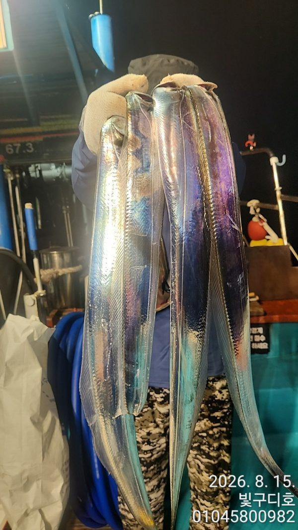 6871.jpg