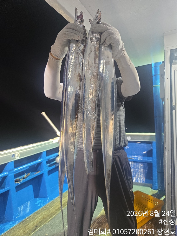 26582.jpg
