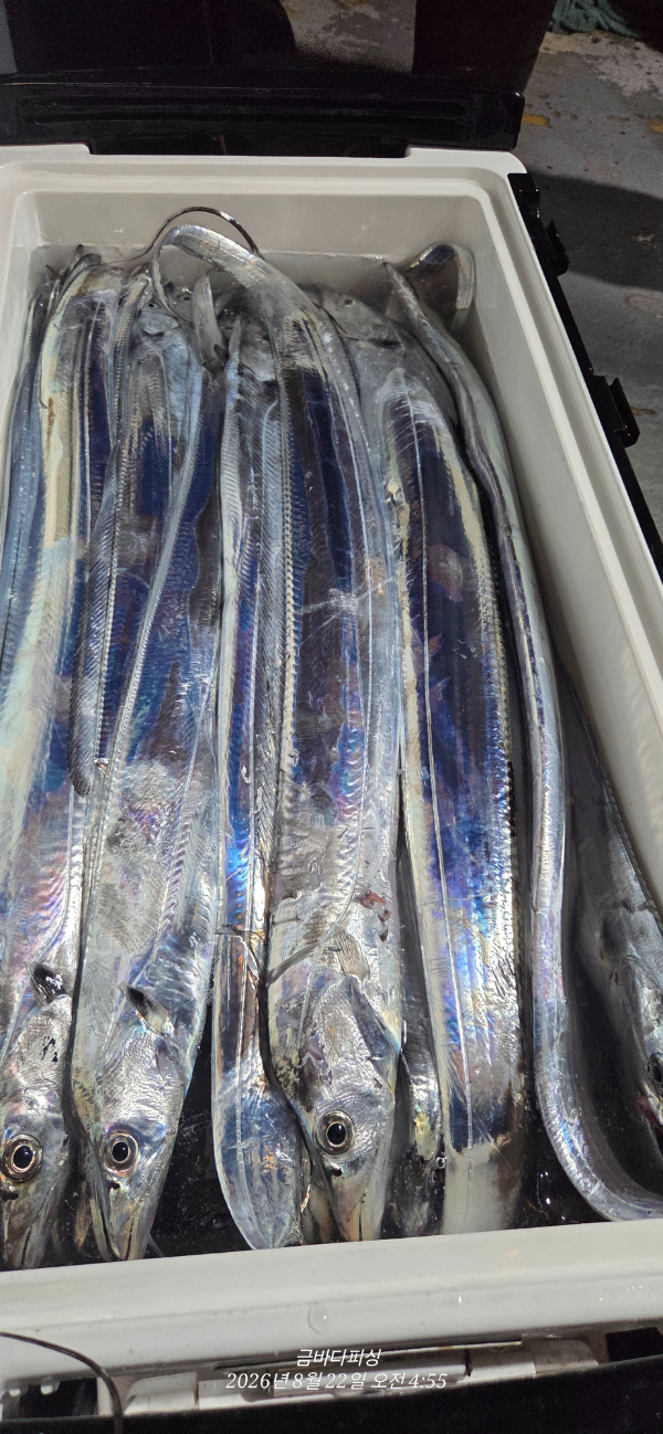 1000151262.jpg
