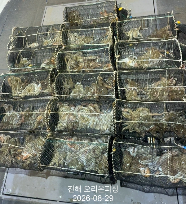 KakaoTalk_20260829_033032375_15.jpg