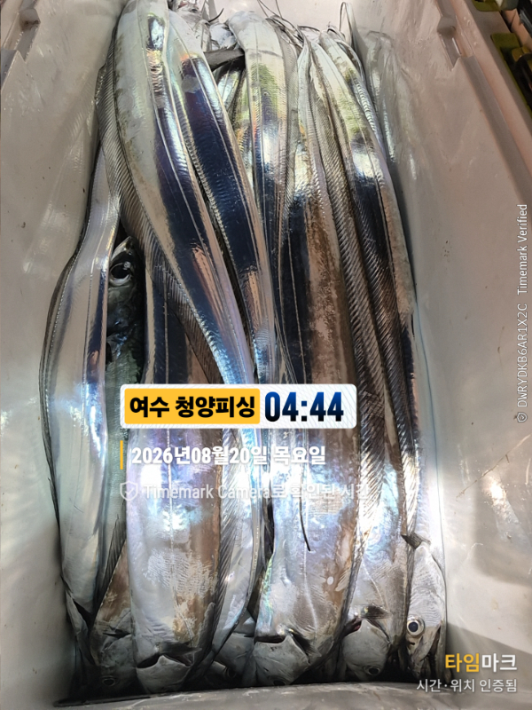 2026-08-20 04.44.28__(제목-여수 청양피싱).jpg