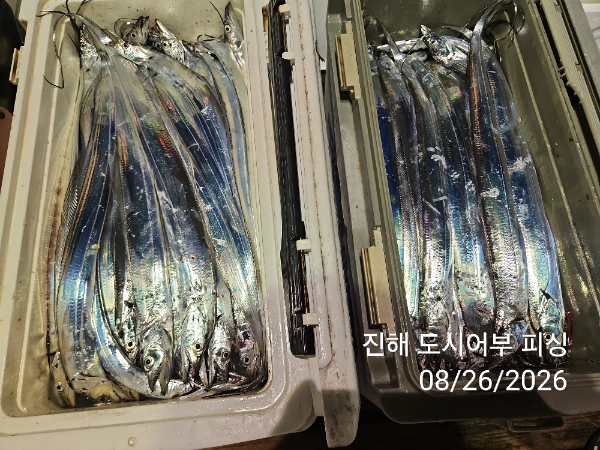 KakaoTalk_20260826_052535049_15.jpg