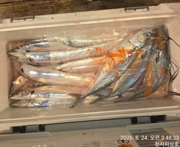 1004피싱_사진_20260824_12.jpg