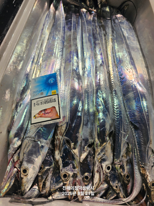 1000075783.jpg