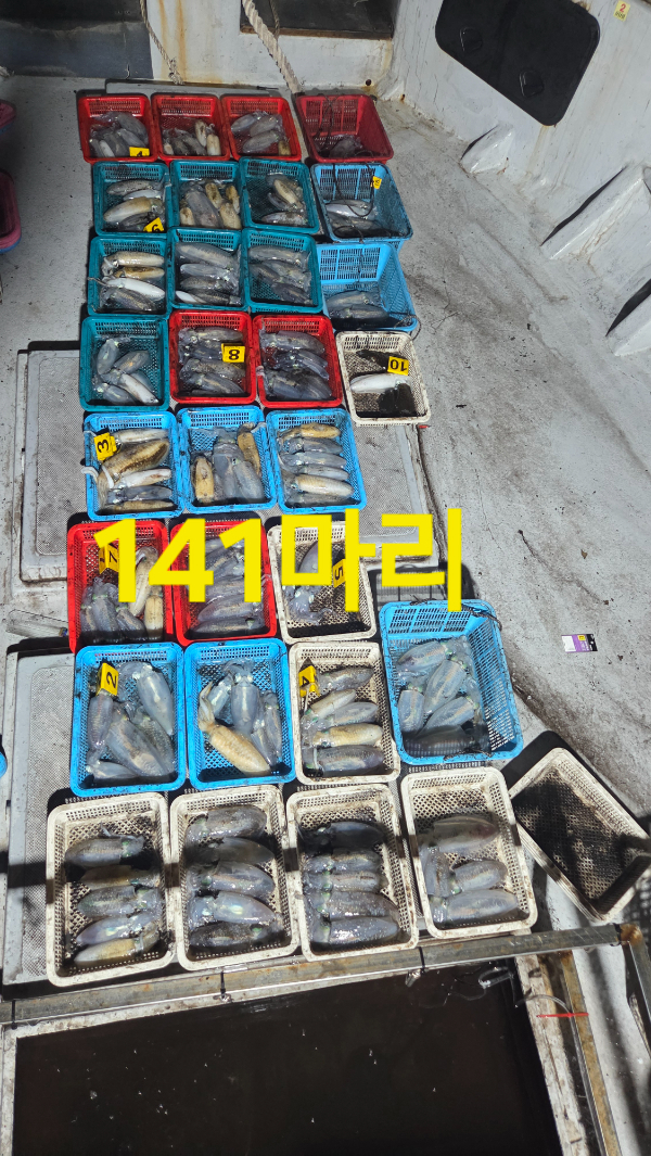 1000056228.jpg