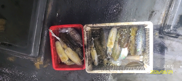 DateCamera0829233159.jpg