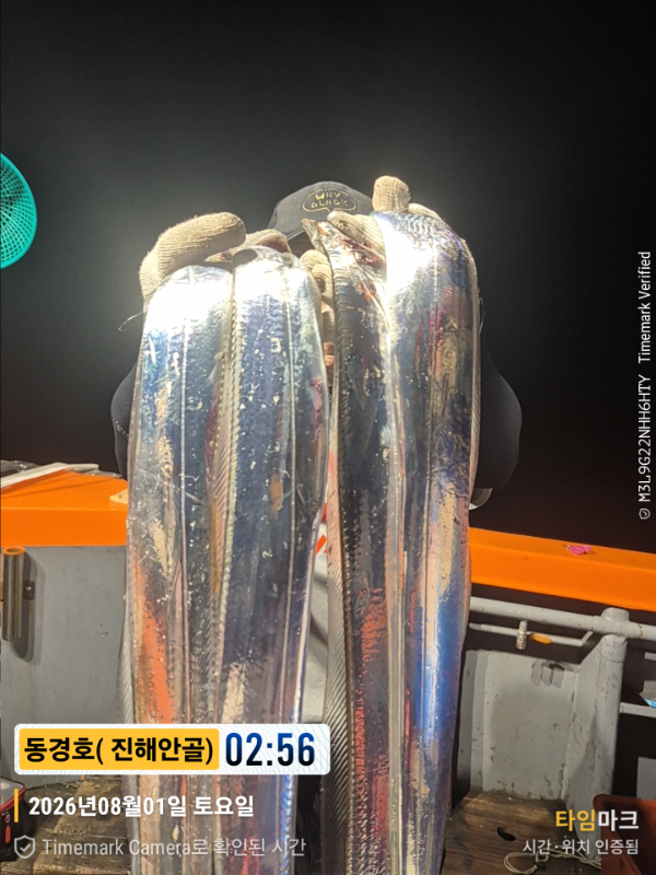 2026-08-01 02.56.16(1)__(제목-동경호( 진해안골)).jpg