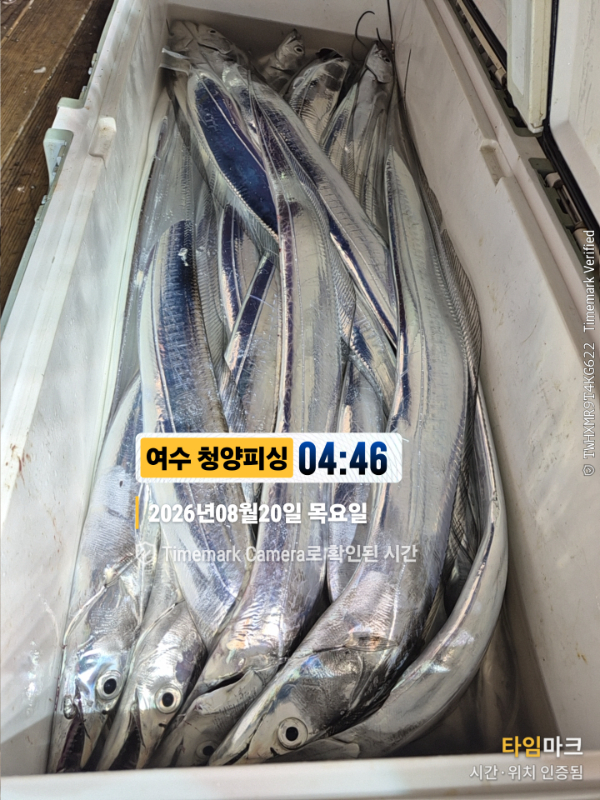 2026-08-20 04.46.06__(제목-여수 청양피싱).jpg